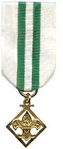 Den Leader Coach Training Award