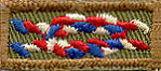 Eagle Scout