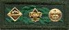 Scouter's Training Award; Venturing Advisor, Scoutmaster, Roundtable staff