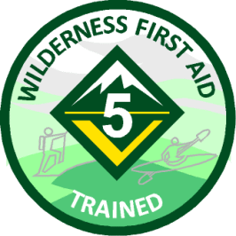 Wilderness First Aid Patches