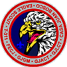 Eagle Scout - Troop 311