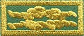 Girl Scout Gold Award