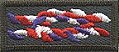 Eagle Scout