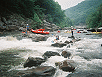 Nolichucky River rafting