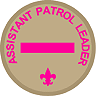 Assistant Patrol Leader