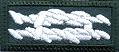 Advisor/SM Award of Merit